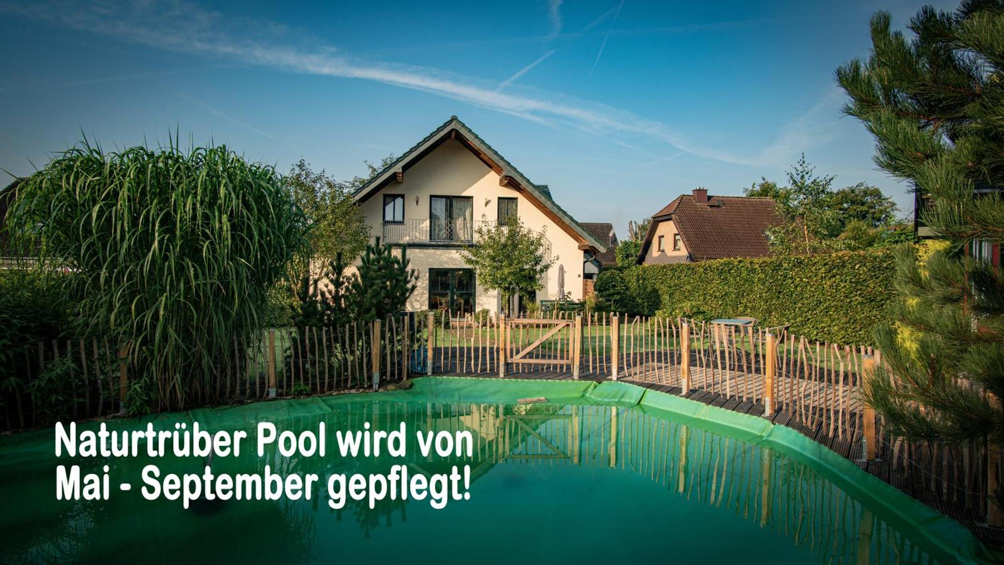 Ferienhaus Mountfrosch Mit Sauna Und Naturpool Monschau Exterior foto